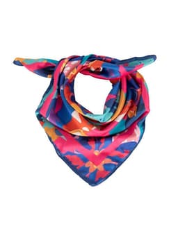 Woman Shawl 2